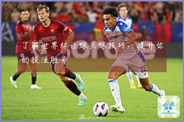 了解世界杯让球买球技巧，提升你的投注胜率