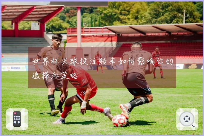 世界杯买球投注赔率如何影响你的选择和策略