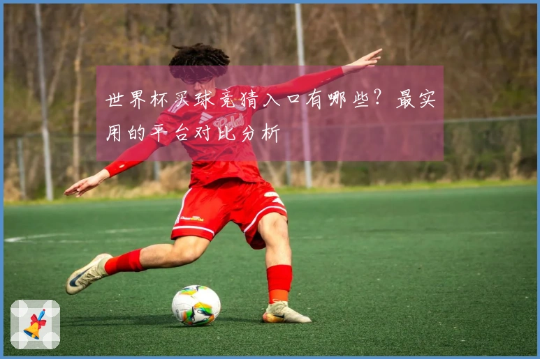 世界杯买球竞猜入口有哪些？最实用的平台对比分析