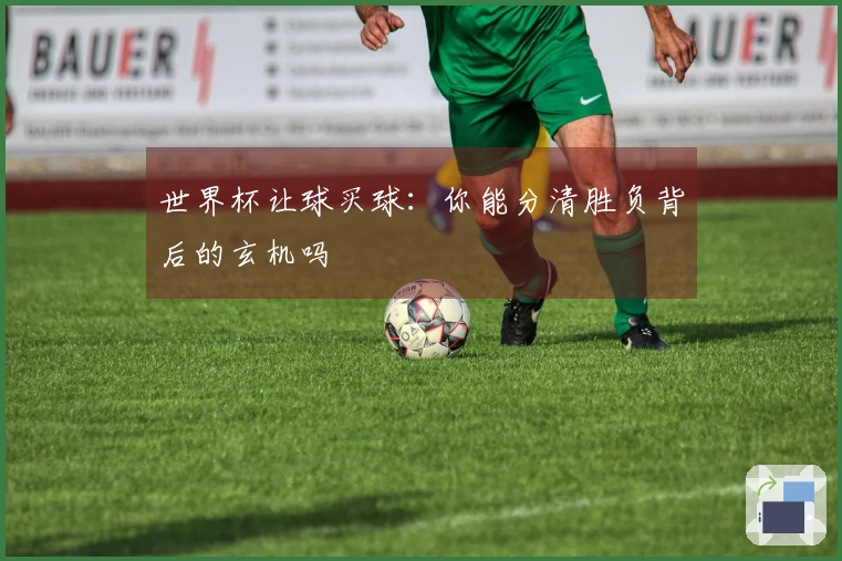 世界杯让球买球：你能分清胜负背后的玄机吗