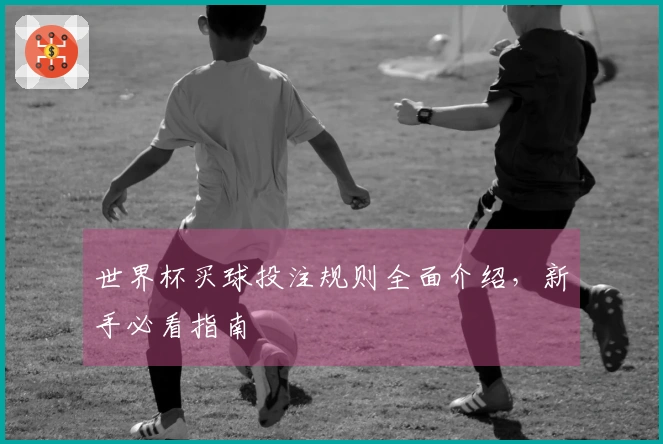 世界杯买球投注规则全面介绍，新手必看指南