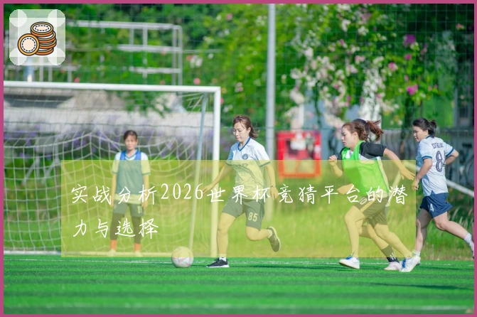 实战分析2026世界杯竞猜平台的潜力与选择