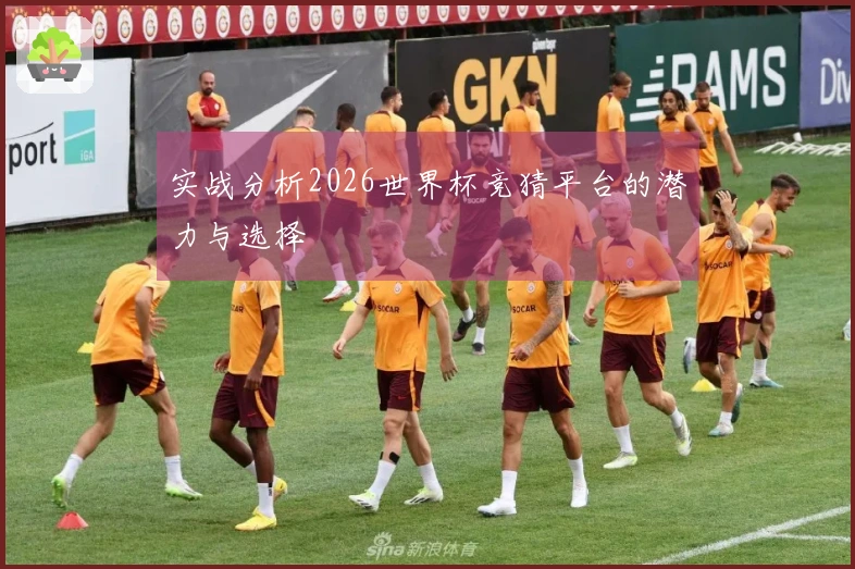 实战分析2026世界杯竞猜平台的潜力与选择