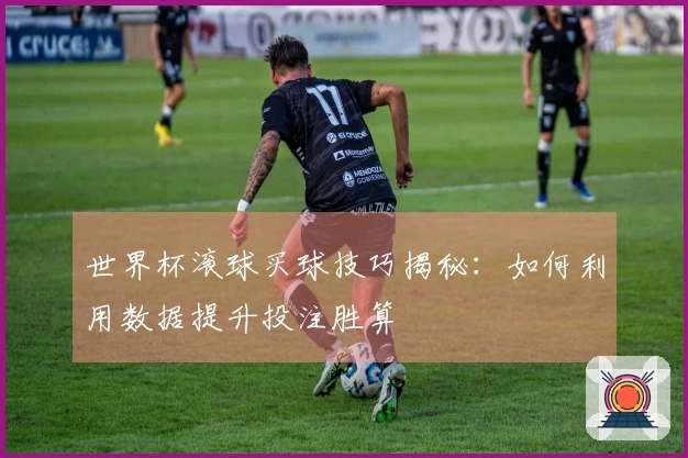 世界杯滚球买球技巧揭秘：如何利用数据提升投注胜算